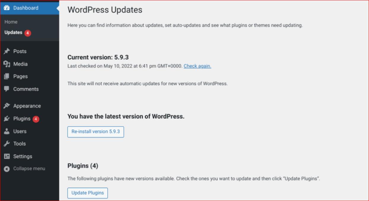 WordPress Updates, Plugin Updates Password Protected